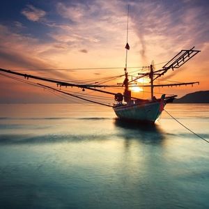 Meet your Posher, Lily